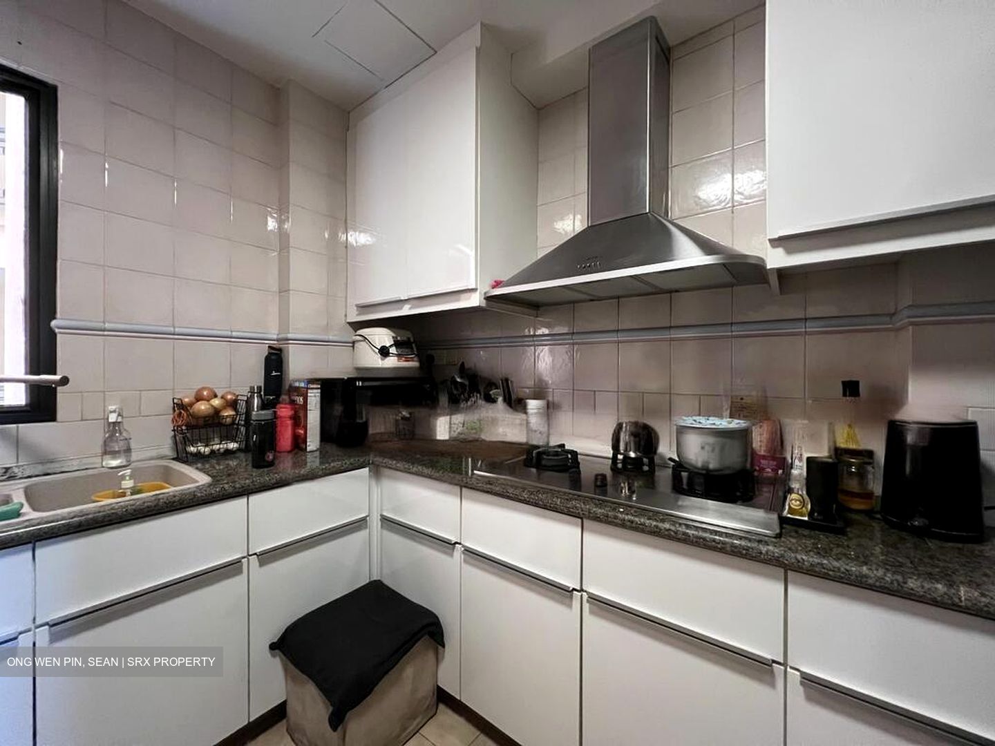Dover Parkview (D5), Condominium #570644161